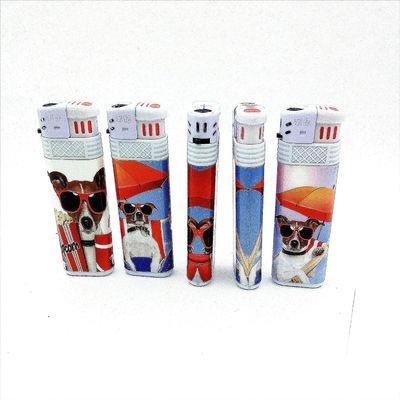 Diseño de encendedor eléctrico desechable modelo NO. DY-F016 con diseño a prueba de viento