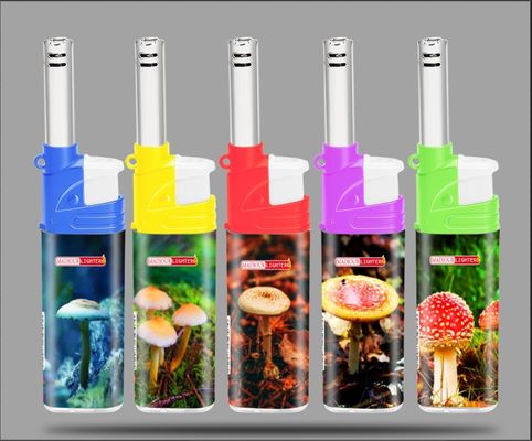 Encendiador de cocina eléctrico con antorcha y material plástico de Dongyi 2022
