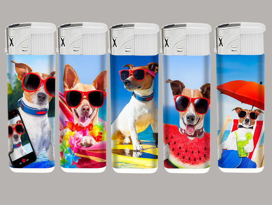 Recargable cocina eléctrica encendedor Animales Metal caja personalizada encendedores de video Metal a prueba de viento